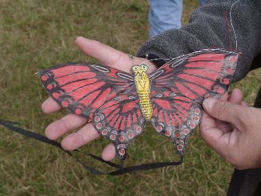 picts/China/roter Schmetterling [(BxH)  230 x 120 mm]