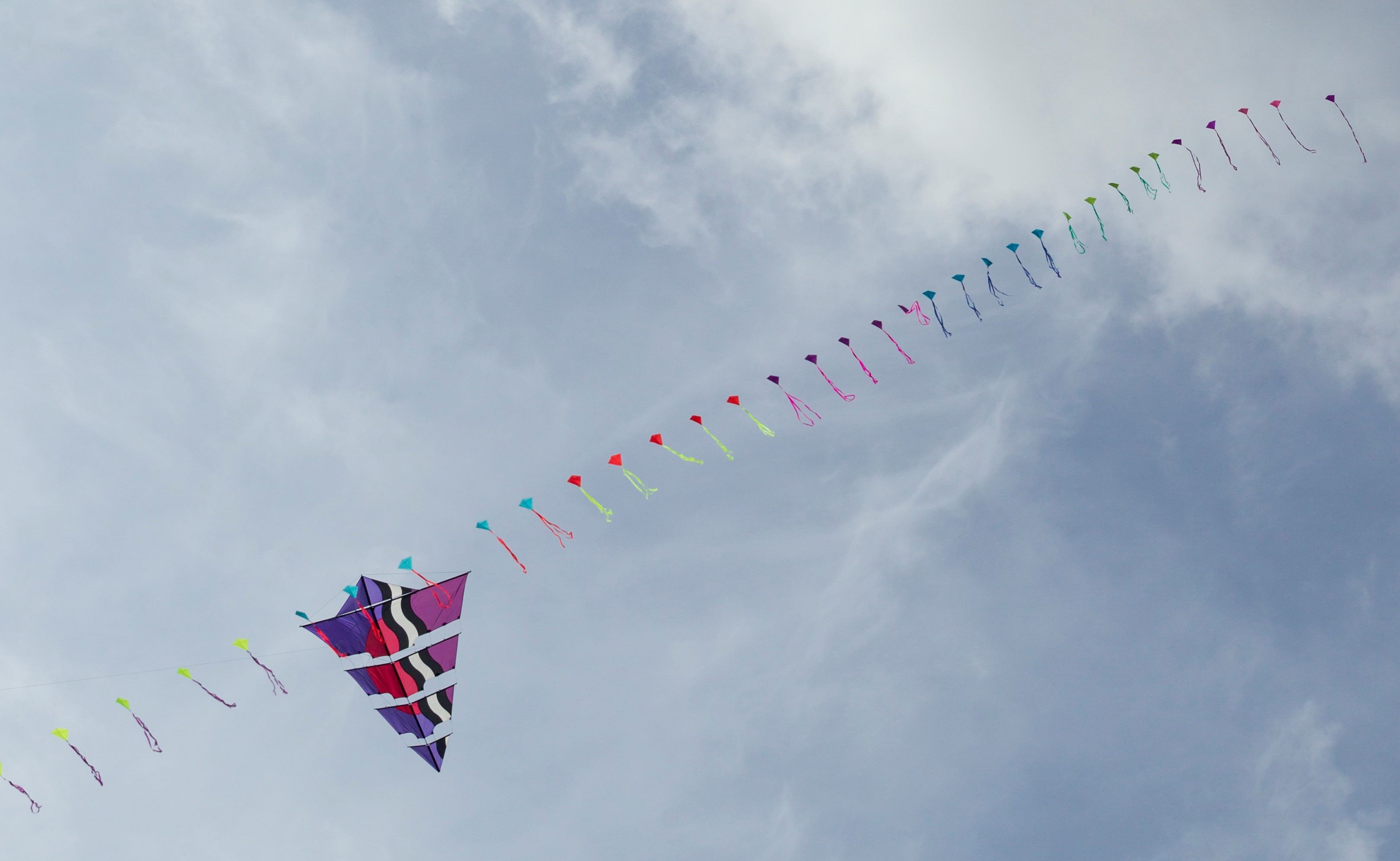 6er Eddykette [(BxH) 105 x 95 mm ]