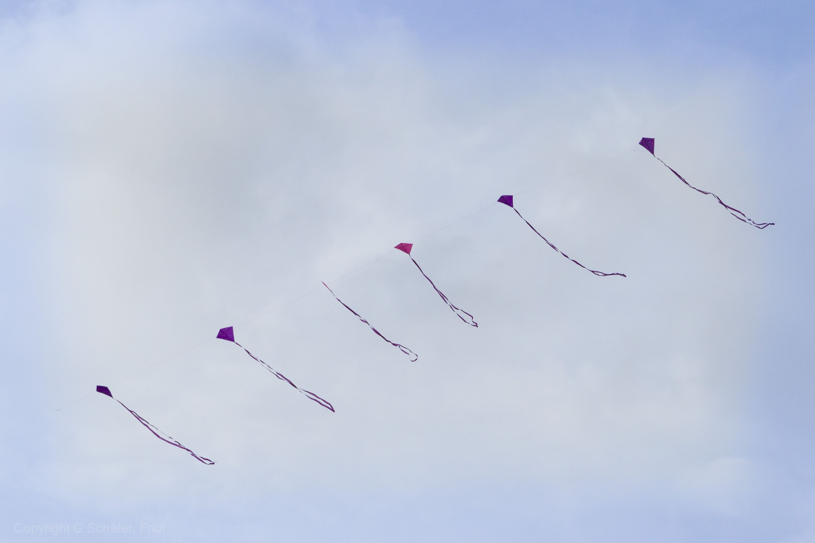 6er Eddykette [(BxH) 105 x 95 mm ]