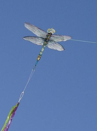 Libelle im Flug:  [(BxH) 175 x 165 mm]