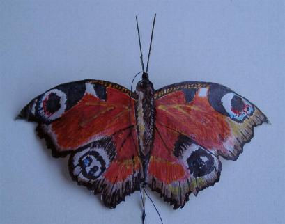 Pfauenauge: (BxH) 115 x 85 mm