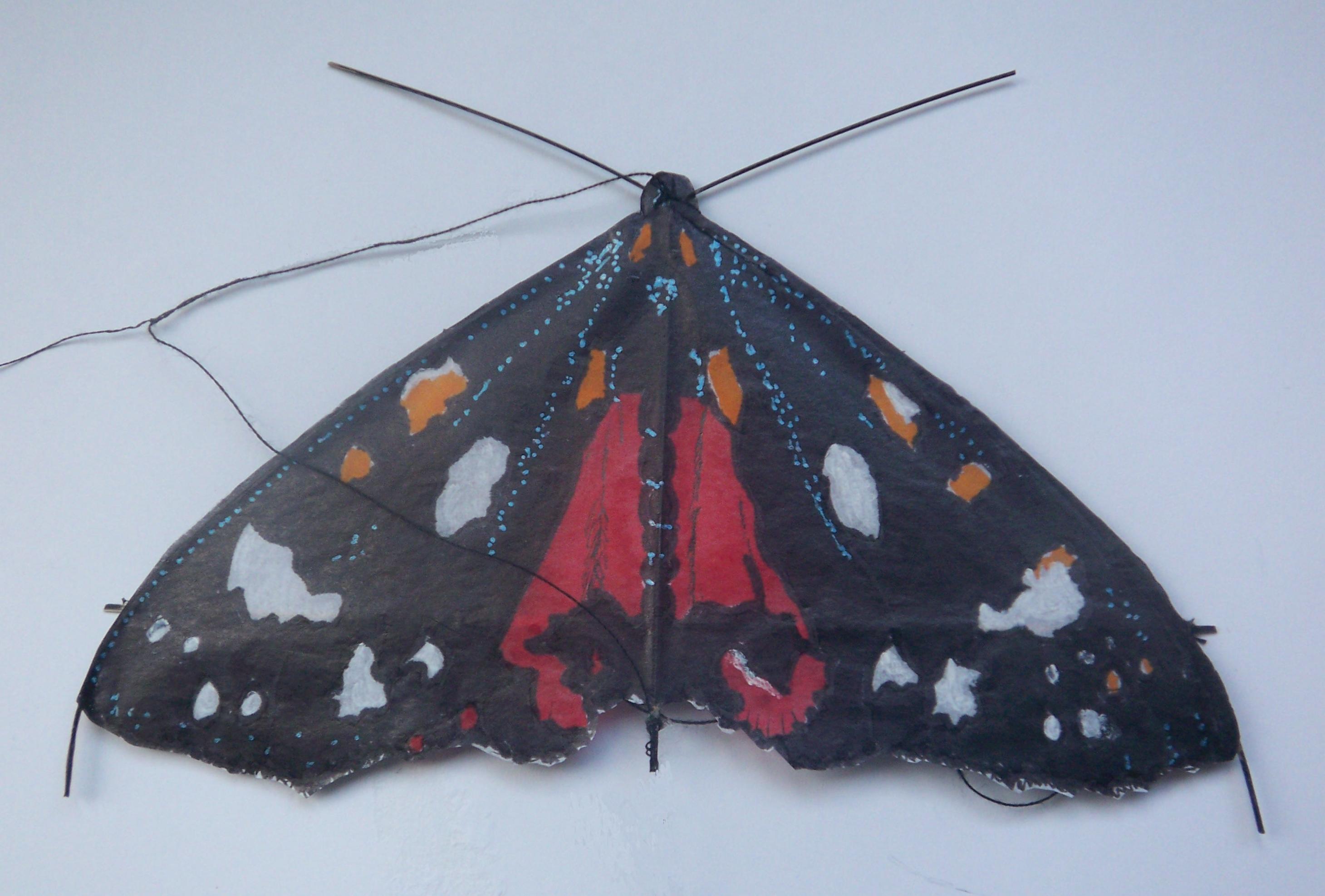 Widderchen  (BxH) 140 x 70 mm