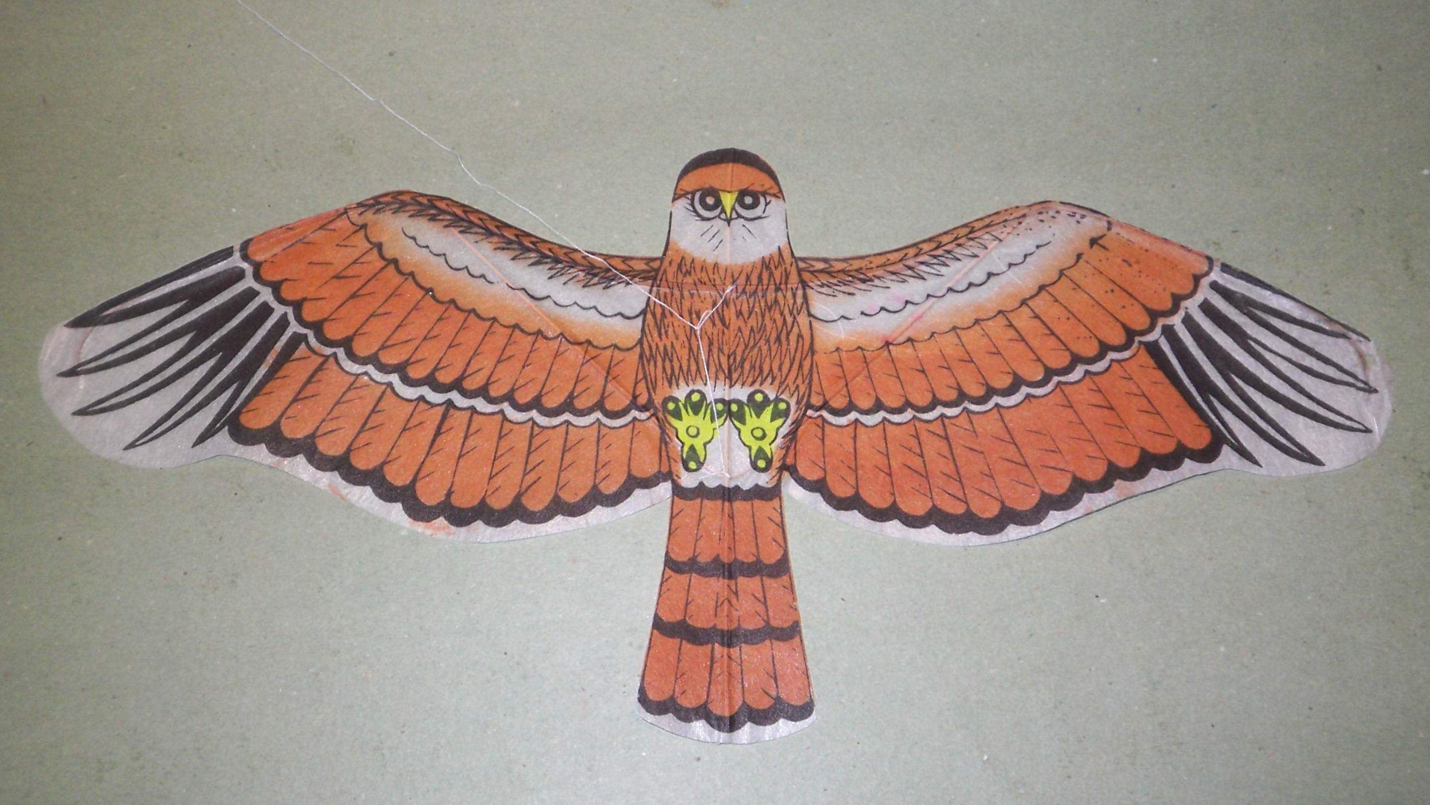 Adler: (BxH) 370 x 170 mm