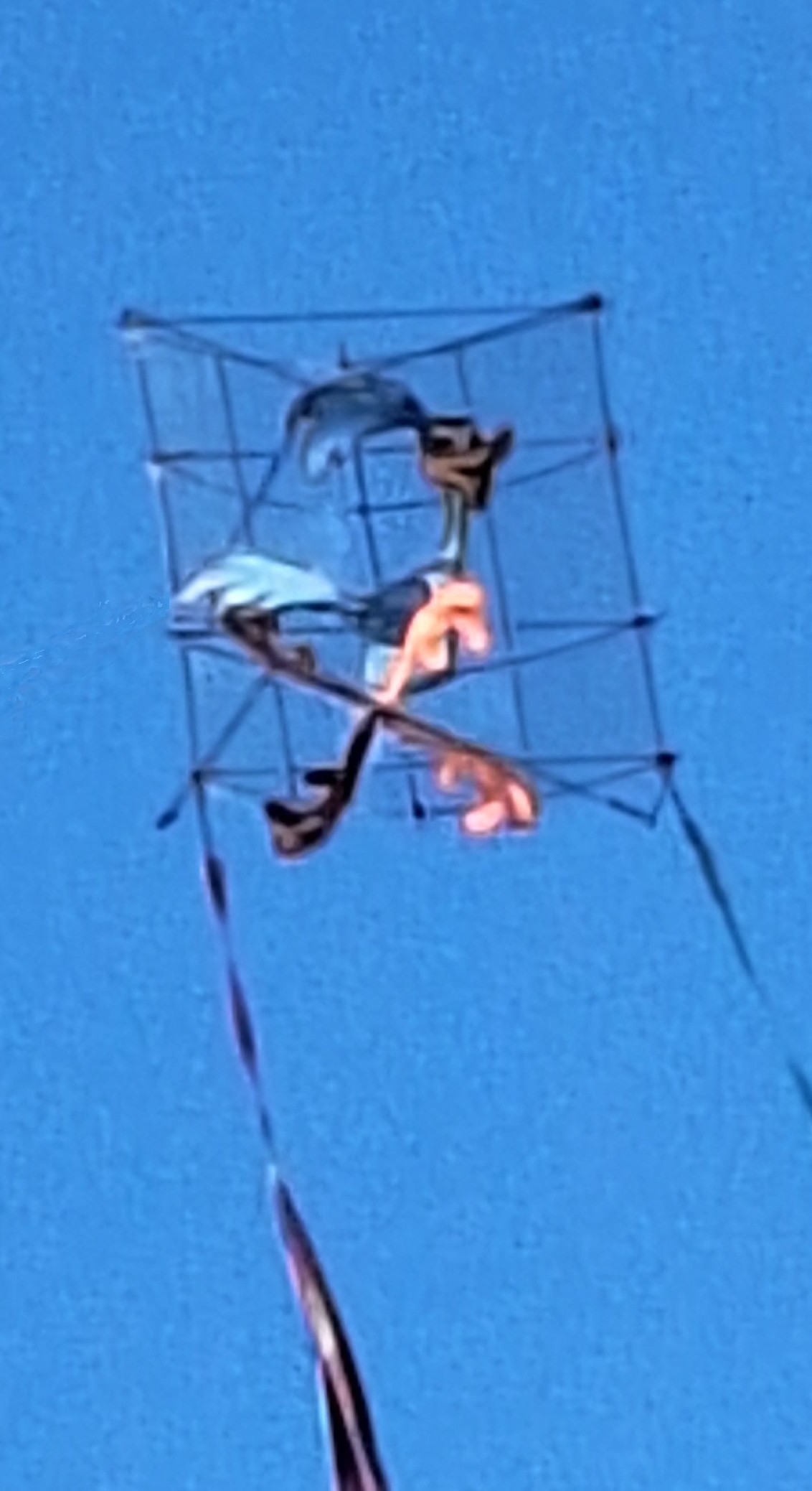 fliegender Duplopropeller [(BxH): 200 x 200 mm,  Propeller: � 100 mm]