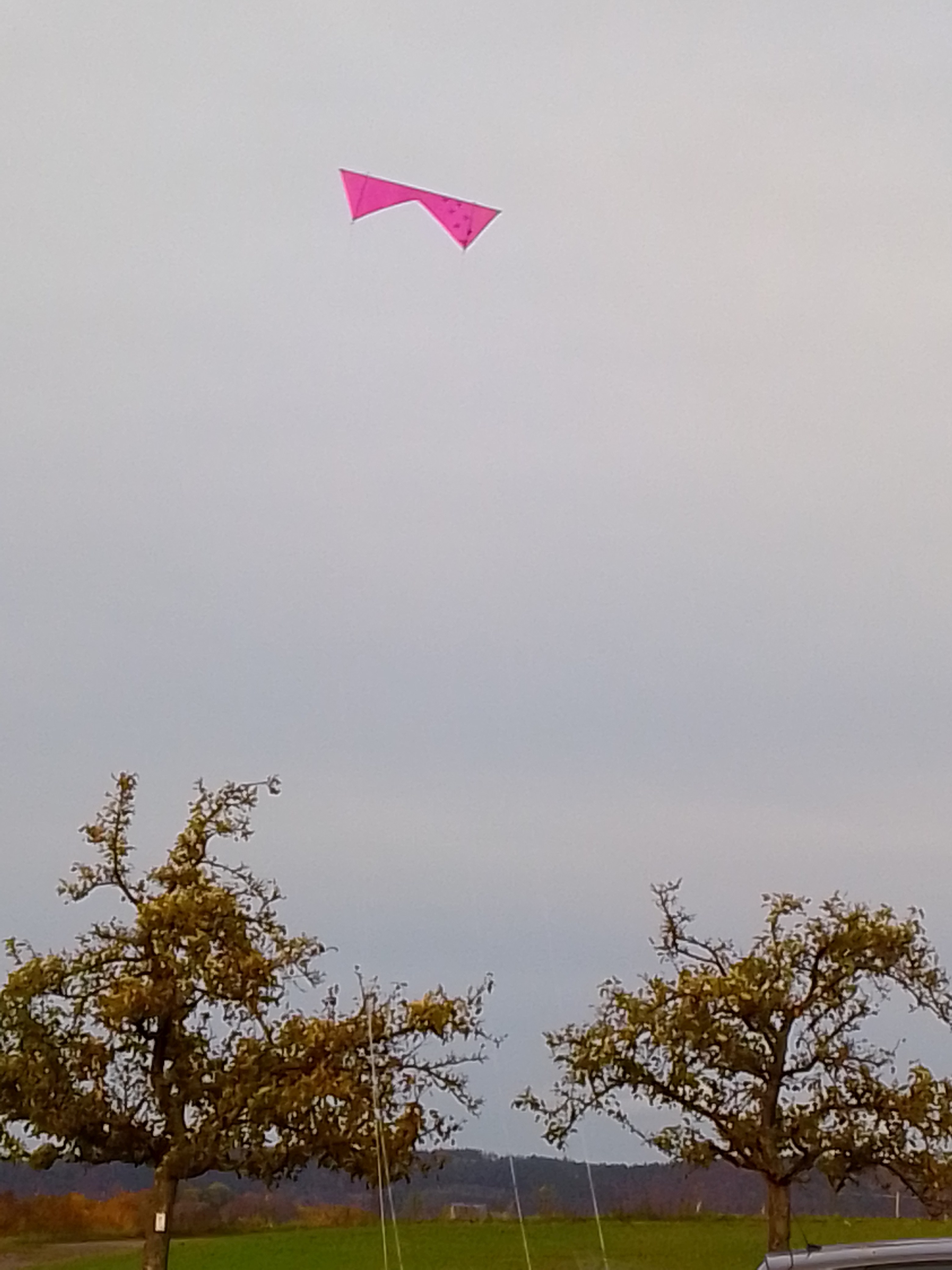 fliegender Rev [(BxH) 230 x 75 mm]