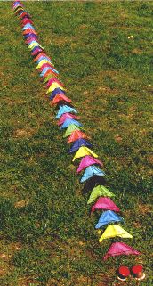 alle 50 Speedies [(BxH)  140 x 70 mm, ca. 5 m lang]